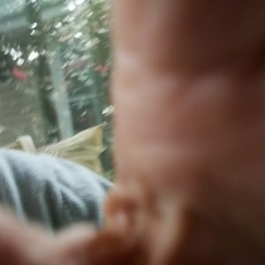 Meet your Posher, Harry